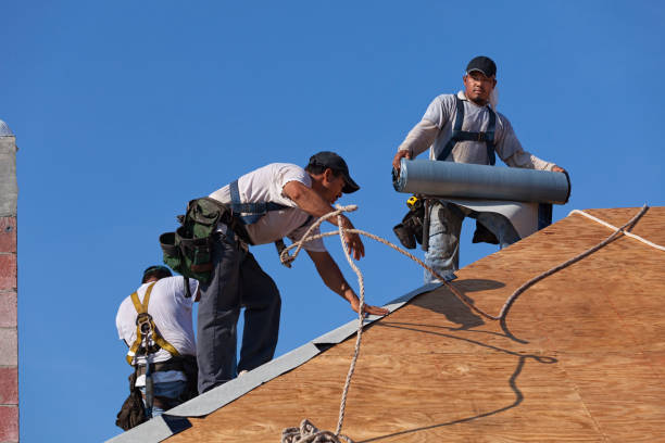 Best Roof Gutter Cleaning  in Chickasha, OK